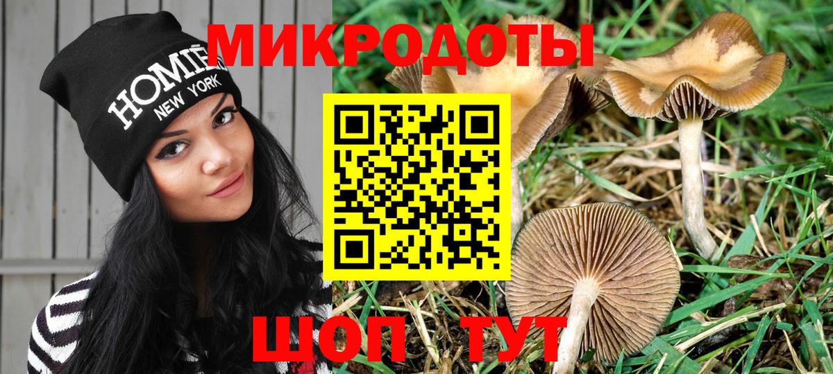 Псилоцибиновые грибы Magic Shrooms Кувандык
