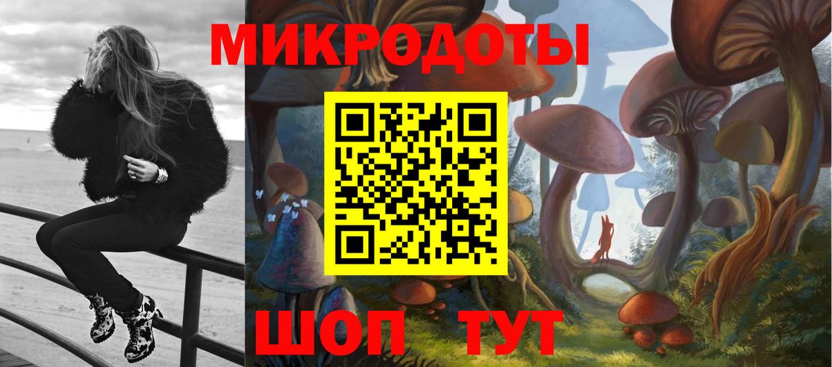 Кувандык  Галлюциногенные грибы Psilocybine cubensis  Вход с VPN 